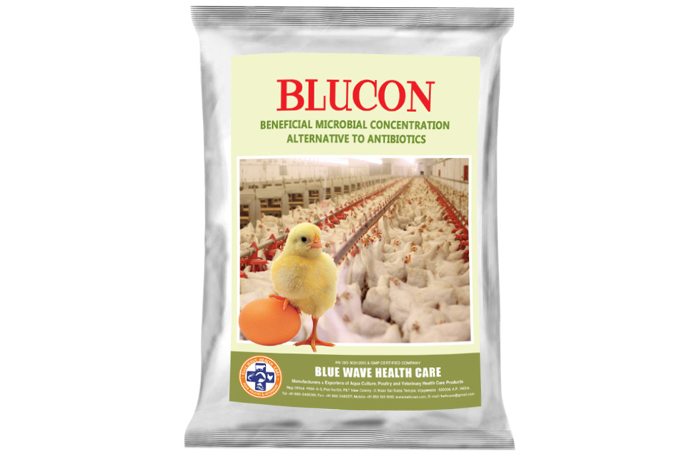 BLUCON (Beneficial microbial concentration alternative to antibiotics)